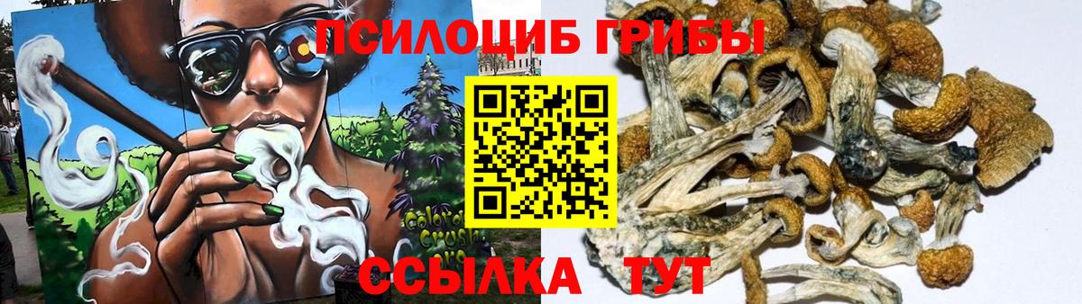 Галлюциногенные грибы Psilocybe  Вход с VPN  Урай 